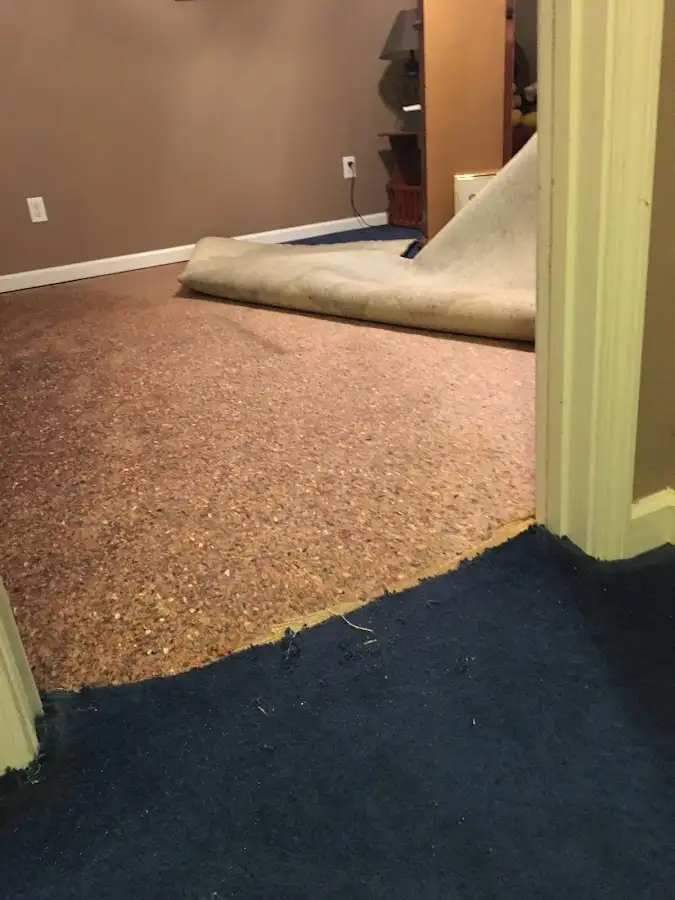 Carpet pad removal revealing water damage during Drying & Dehumidification in Skippack